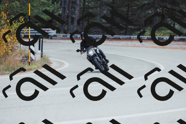 202511021424-_04A3811_c3