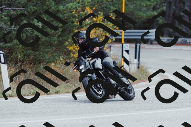 202511021424-_04A3812_c3