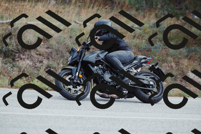 202511021424-_04A3814_c3