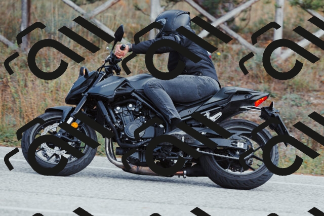 202511021424-_04A3815_c3