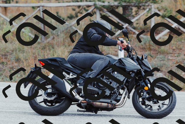 202511021424-_04A3816_c3