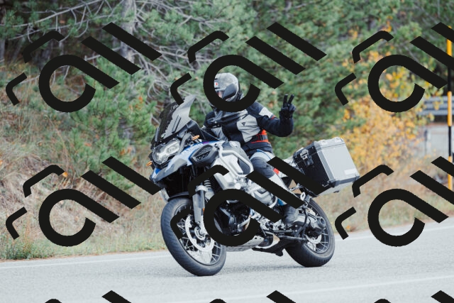 202511021425-_04A3819_c3