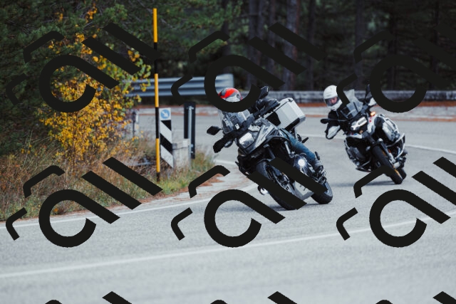 202511021425-_04A3825_c3