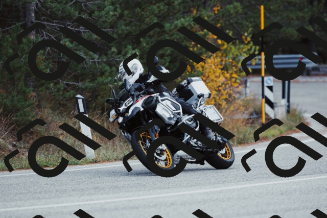 202511021425-_04A3827_c3