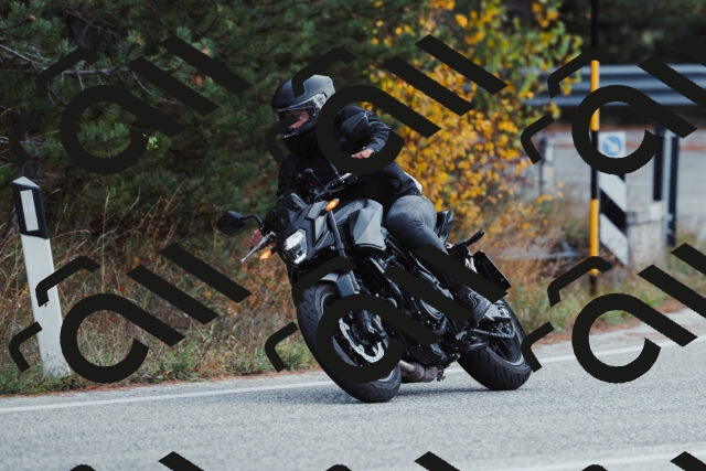 202511021425-_04A3831_c3