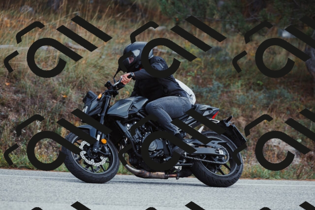 202511021425-_04A3833_c3