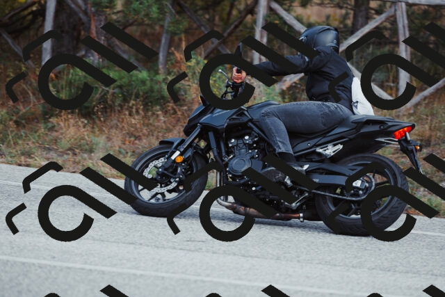 202511021425-_04A3835_c3