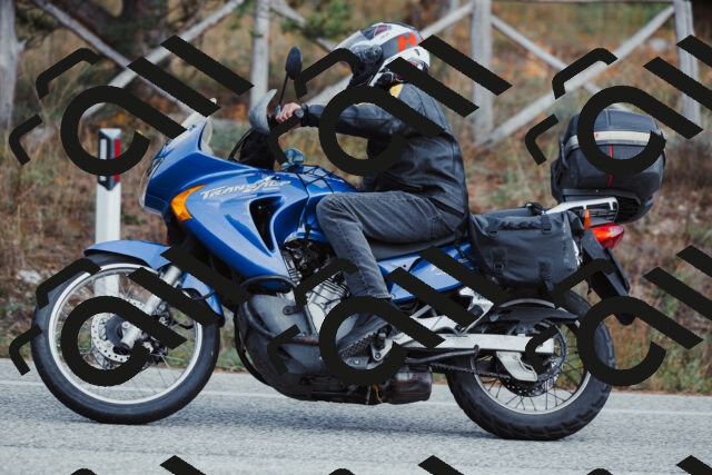 202511021427-_04A3841_c3