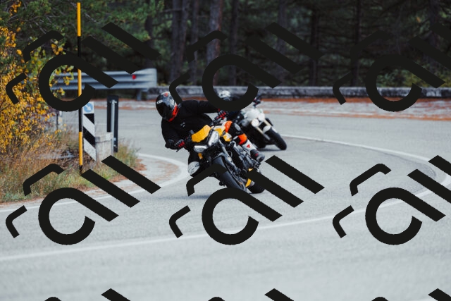 202511021431-_04A3847_c3