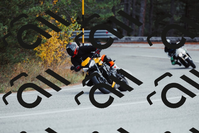 202511021431-_04A3848_c3