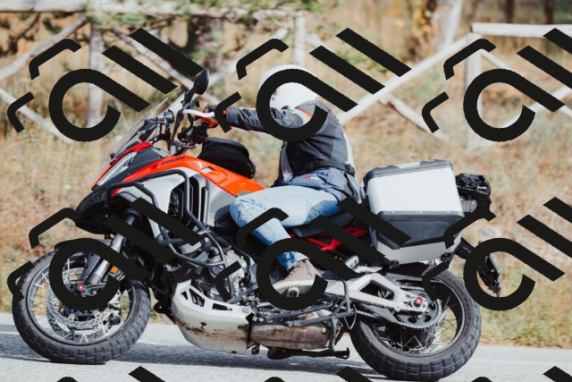 202511021442-_04A3860_c3