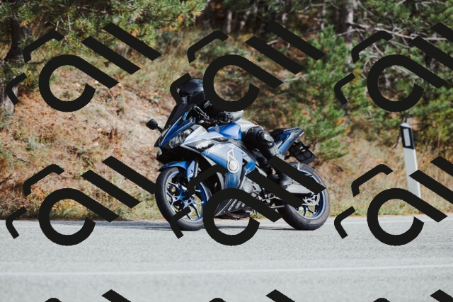 202511021447-_04A3866_c3