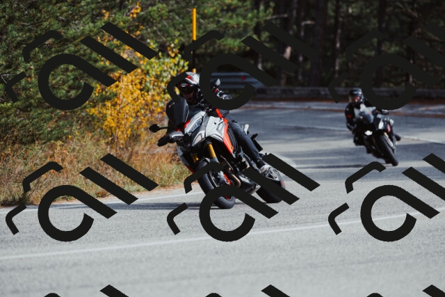 202511021448-_04A3871_c3