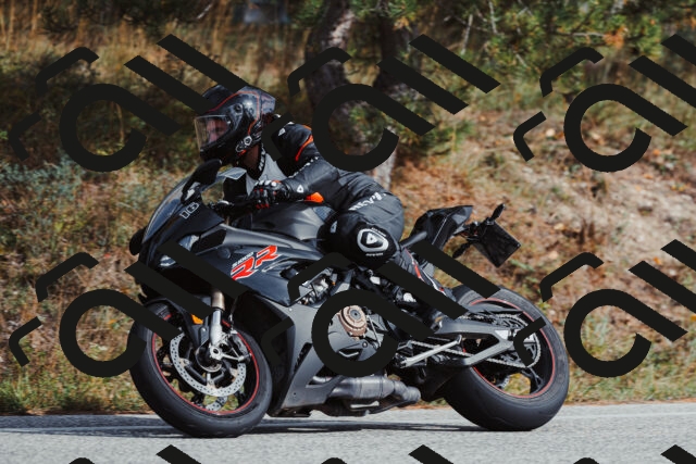 202511021448-_04A3874_c3