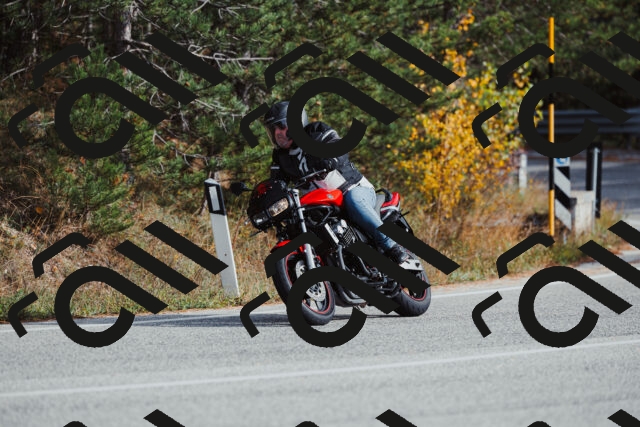 202511021448-_04A3877_c3