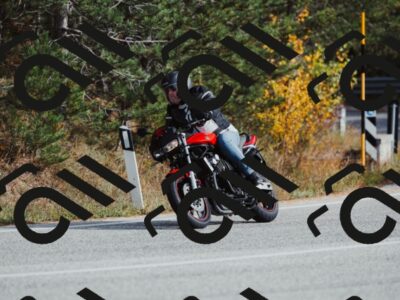 202511021448-_04A3877_c3