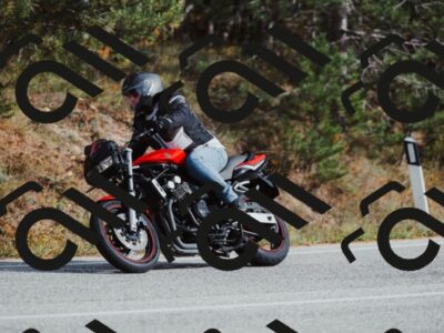 202511021448-_04A3878_c3