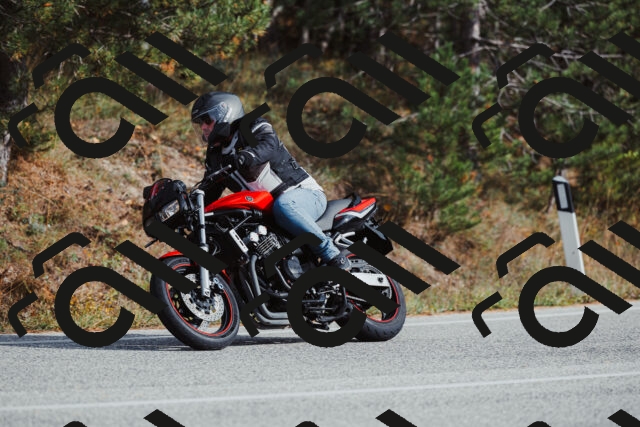 202511021448-_04A3878_c3