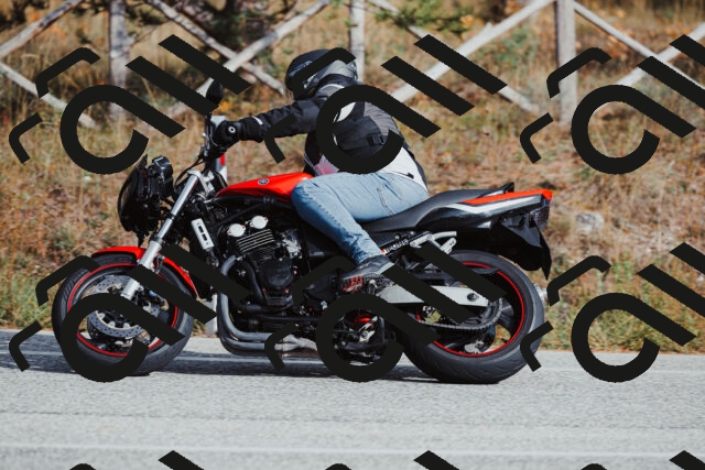 202511021448-_04A3880_c3