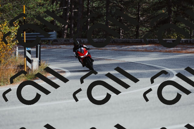 202511021450-_04A3881_c3