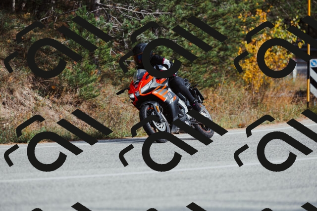 202511021450-_04A3883_c3