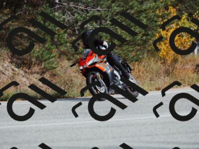 202511021450-_04A3883_c3