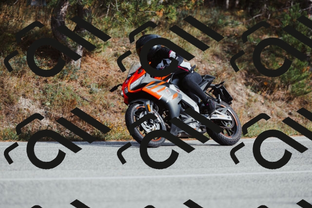 202511021450-_04A3884_c3