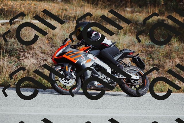 202511021450-_04A3885_c3