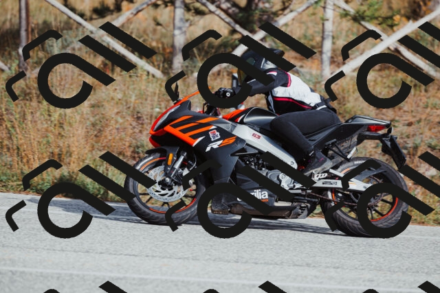 202511021450-_04A3886_c3