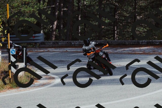 202511021450-_04A3887_c3