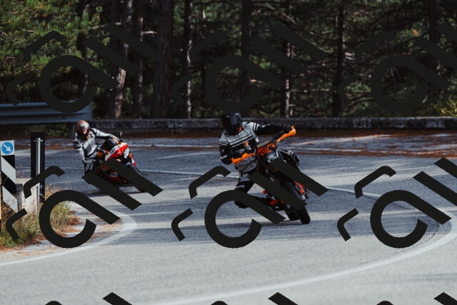 202511021450-_04A3888_c3