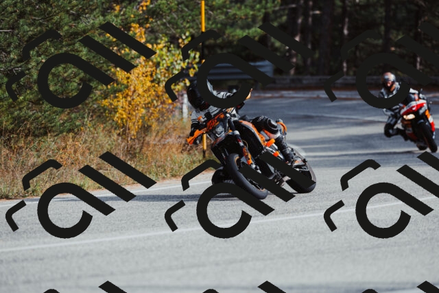 202511021450-_04A3890_c3