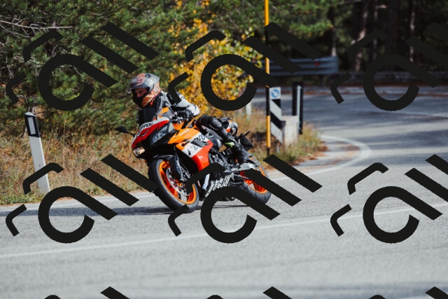 202511021450-_04A3892_c3