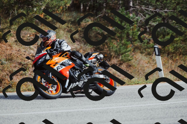 202511021450-_04A3893_c3