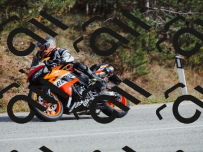 202511021450-_04A3893_c3