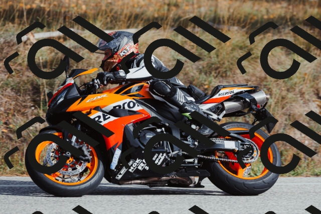 202511021450-_04A3894_c3