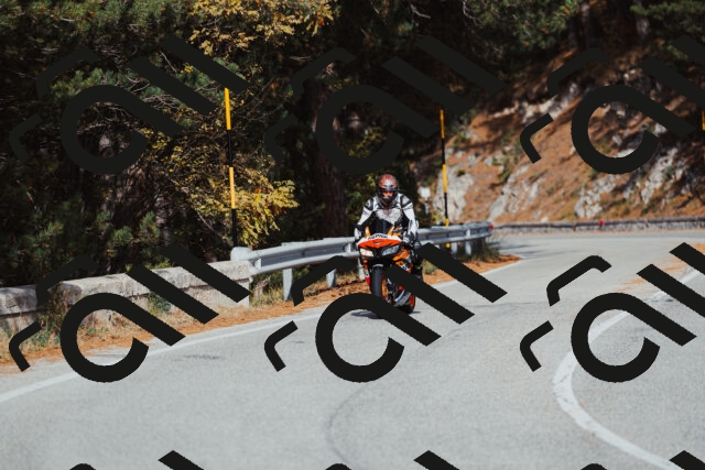 202511021451-_04A3896_c3