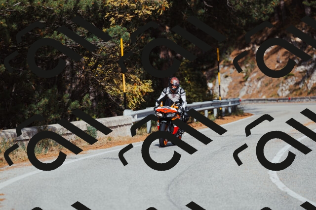 202511021451-_04A3897_c3