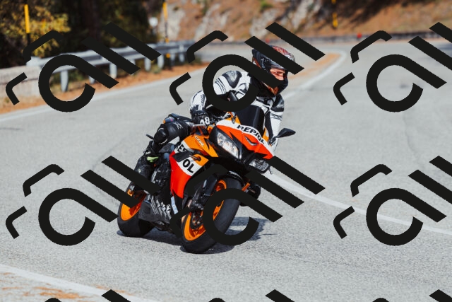 202511021451-_04A3899_c3