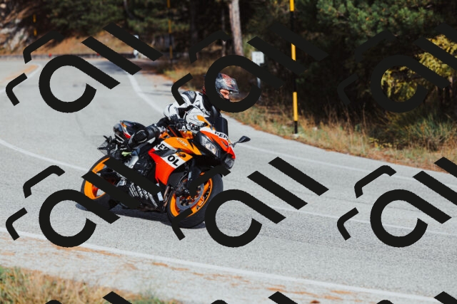 202511021451-_04A3900_c3