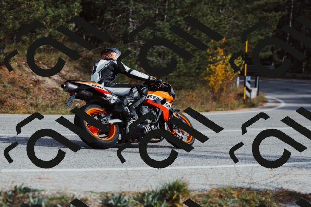 202511021451-_04A3903_c3