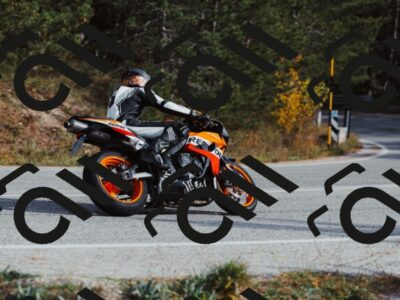 202511021451-_04A3903_c3