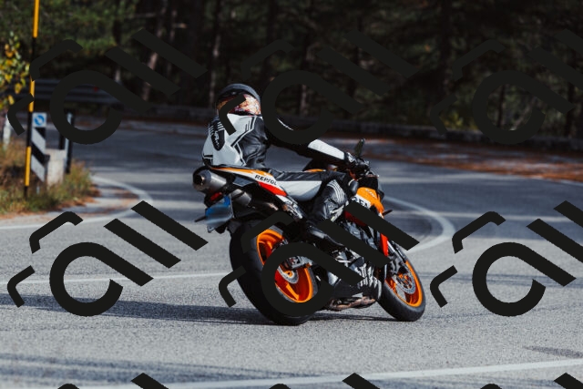 202511021451-_04A3904_c3