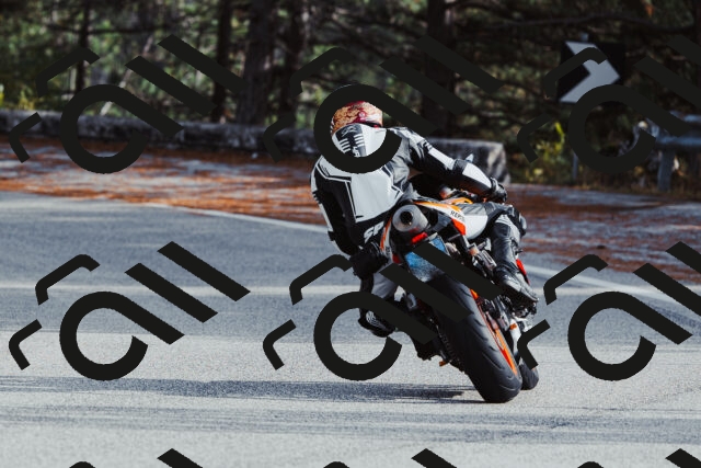 202511021451-_04A3906_c3