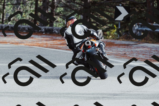 202511021451-_04A3907_c3