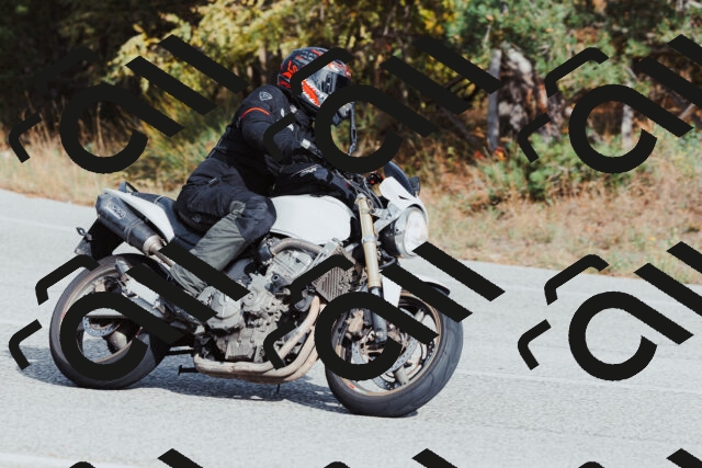 202511021455-_04A3912_c3