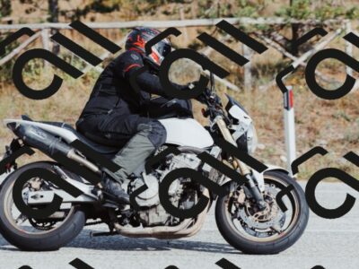 202511021455-_04A3913_c3