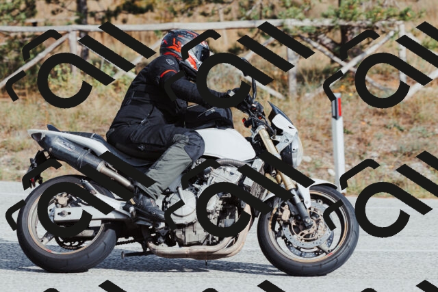 202511021455-_04A3913_c3