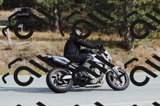 202511021455-_04A3914_c3