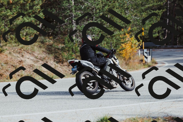 202511021455-_04A3915_c3